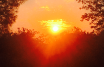 Sun