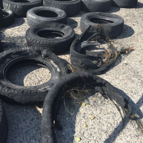 Old tires