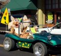 Sonora High Wildcats Mascots Homecoming Parade