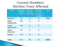 TUD Infrastructure Impacted By Bark Beetles