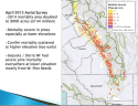 Impact Of Bark Beetles