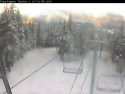 Bear Valley Polar Webcam Image