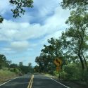 A section of Highway 4 in Calaveras County