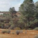 Deputies search for Joshua Willis off Highway 120/108 near Chinese Camp