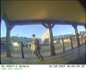 Wells Fargo Robbery Suspect