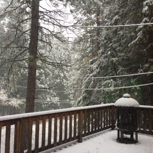 Snow in Arnold