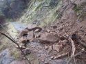 STF Lumsden Road rockslide