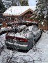 Twain Harte tree smashes car