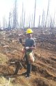 Rim Fire tree replanting volunteer Jeff Luce-McKay, of-Mi Wok Village, who planted almost twice as many trees as the other volunteers.