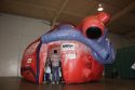 Twain Harte Elementary Students Inside The Mega Heart