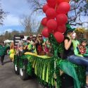 Murphys Day Parade 2016