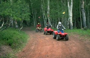 Grant Time For Forest Trails