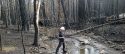 Destruction from the Rim Fire burn scar