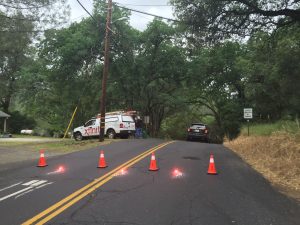 Racetrack/Snell Tree Down