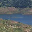 New Melones