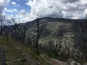 Rim Fire Burn Area