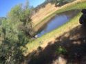 Pond where hose was found leading to pot grow