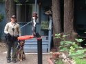TCSD and K-9 Hans standoff with burglars on Good Shepard Drive in Sonora