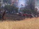Arbolada Road Fire