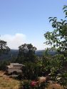 Fire Near Lake Tulloch