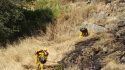 Tulloch Fire