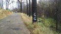 Calaveras County trees marked for removal