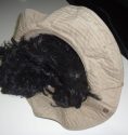 Cash's disguise