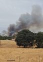 Cheyenne Fire, CAL Fire Image