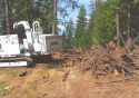Leisure Pines Project Crews At Work