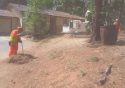 Leisure Pines Project Crews At Work