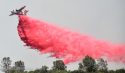 Appaloosa Fire