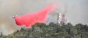 Appaloosa Fire