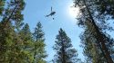 CAL Fire Helicopter, above the pines, carrying water to blaze