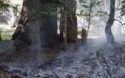 Lakes Fire
