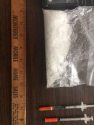 McElfresh arrest evidence phot