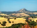 Moke Hill