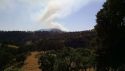 Appaloosa Fire
