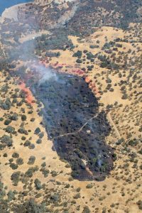 Deer Fire