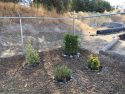 Tuolumne County Jail inmate work program