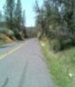 Lyons Bald Mountain Road Fuel Reduction Project area