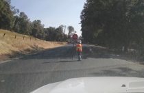 Flaggers conducting one-way traffic control