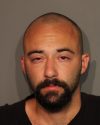 Shaun Nicholas Johnson