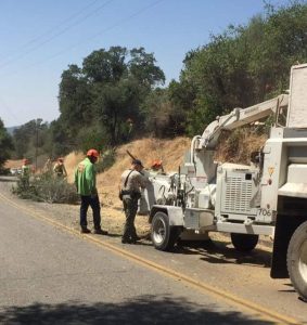 Removing Hazardous Trees Along Lyons Bald Mountain Road - MyMotherLode.com