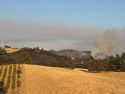 Willow Fire