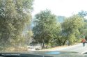 Bell Fire in Amador County