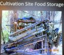 West Point Marijuana Grow In Calaveras County CA Tied To Human TRafficking Case, Evidence Photo