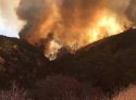 Marshes Fire Near Moccasin