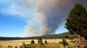 Fire in Inyo National Forest