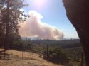Marshes Fire