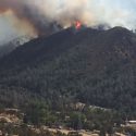 Marshes Fire From New Priest Grade